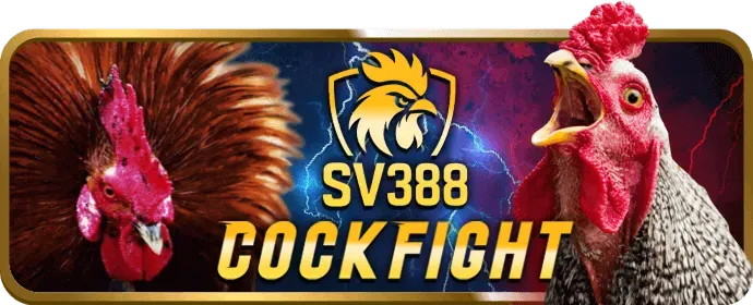 Vòng quay miễn phí slot game vn168 app